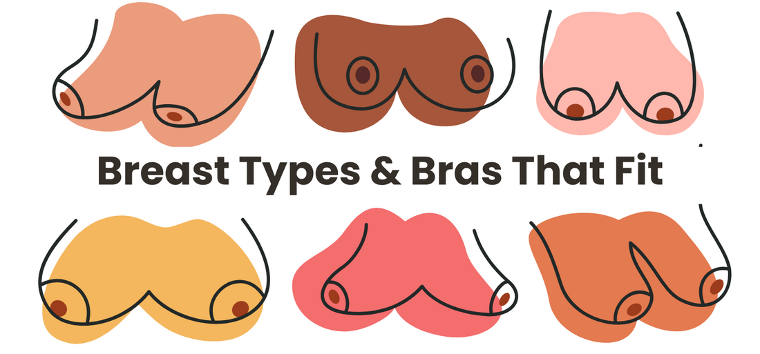 Find your breast type and the bras that fit